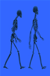 Skeletons Image